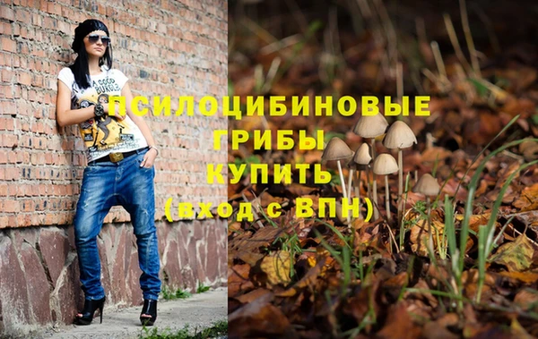 2c-b Балахна